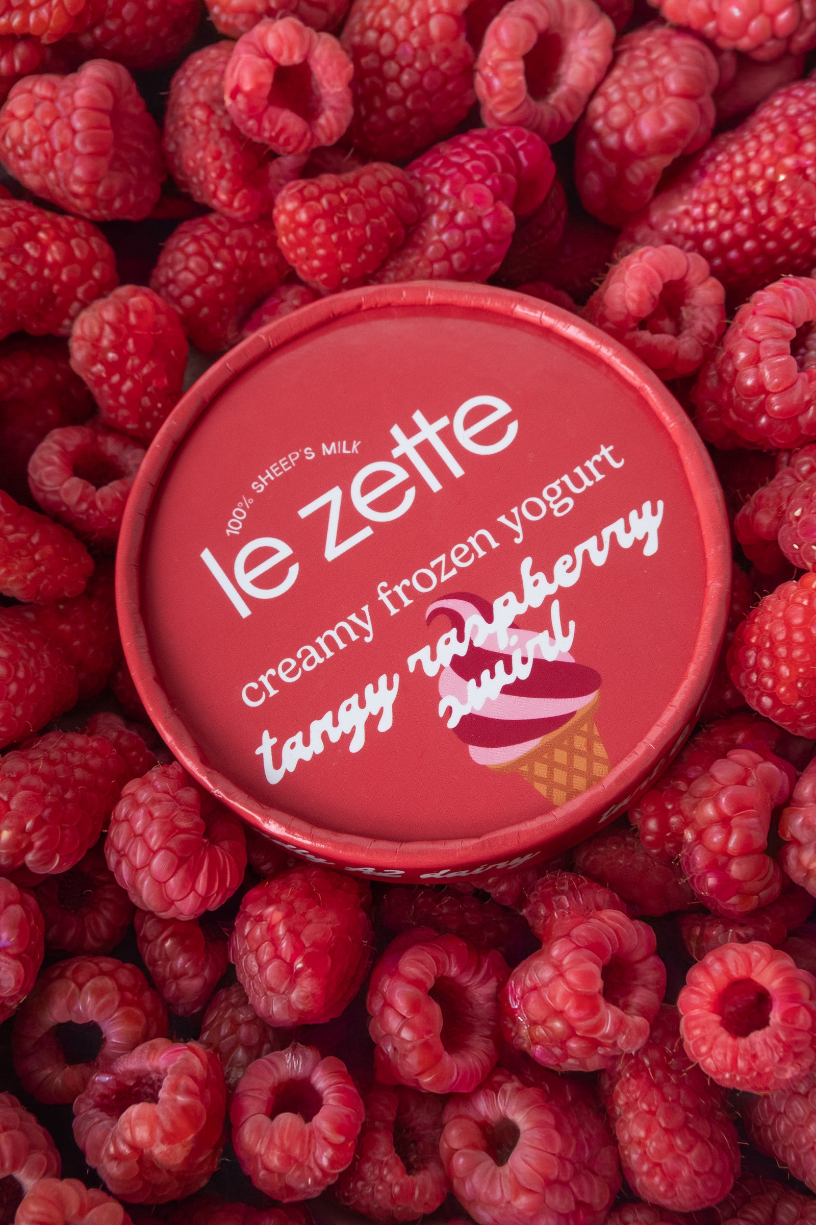 Tangy Raspberry Swirl Froyo