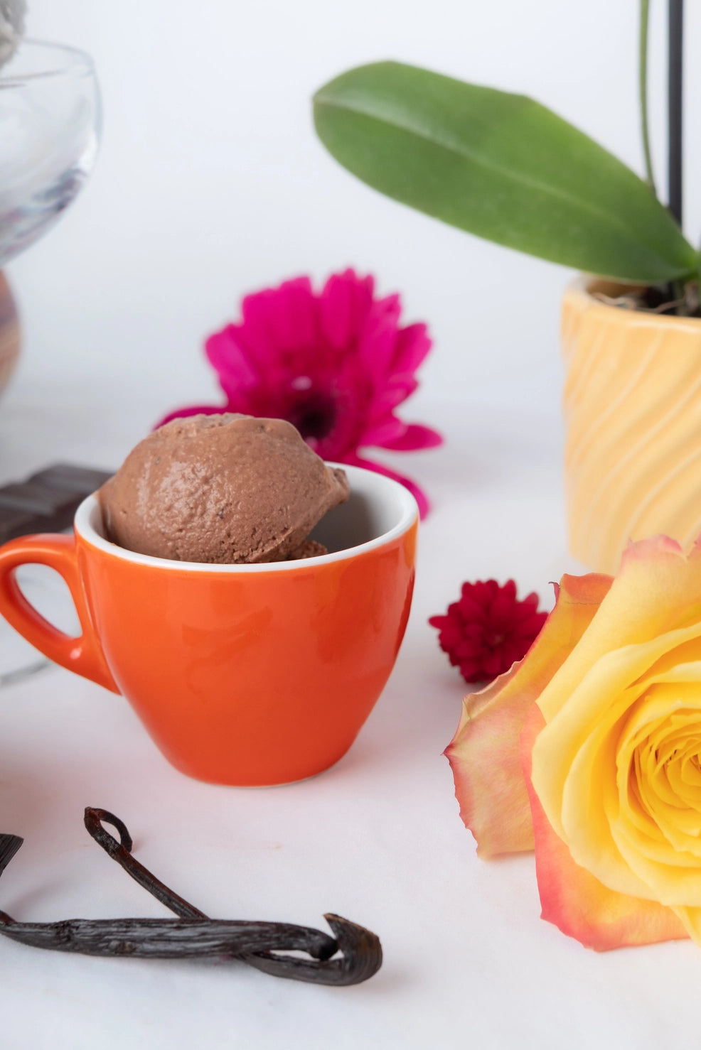 Mexican Hot Cocoa Froyo